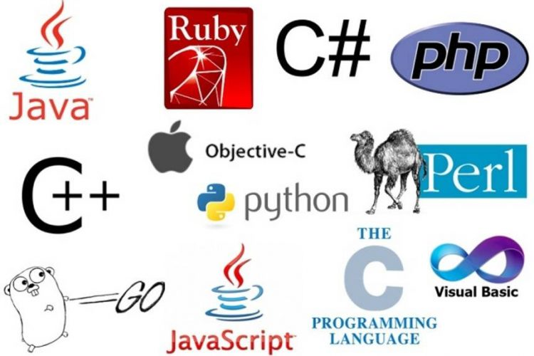 Top ngôn ngữ lập trình nên học năm 2021 | Webvinabook