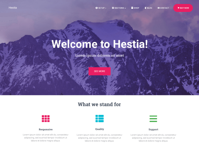 Hestia - Theme wordpress nên cài nhất năm 2022 - Webvinabook